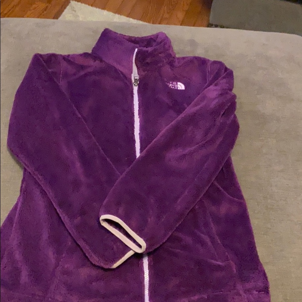 The North Face Purple Jacket